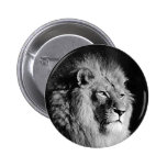 Photo noire et blanche de lion badges avec agrafe