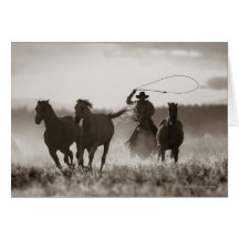 Photo noire et blanche des chevaux d'un Lassoing d Cartes
