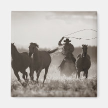 Photo noire et blanche des chevaux d'un Lassoing d Magnets Pour Réfrigérateur