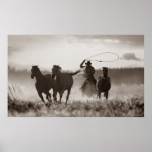 Photo noire et blanche des chevaux d'un Lassoing d Posters