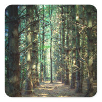 Photo rebelle d'arbre autocollants