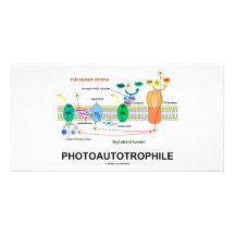 Photoautrophile (photosynthèse) modèle pour photocarte