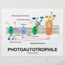 Photoautrophile (photosynthèse) prospectus customisé
