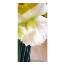 Photocard blanc de jonquille photocarte