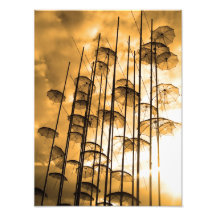 photographie