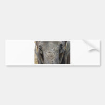 Photographie d'animal sauvage d'éléphant adhésifs pour voiture
