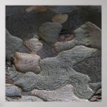 Photographie de macro d'écorce d'arbre affiche