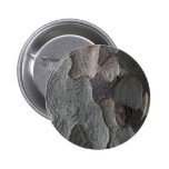 Photographie de macro d'écorce d'arbre badges avec agrafe
