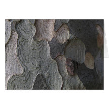 Photographie de macro d'écorce d'arbre carte de vœux