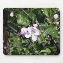 Photographie de nature tapis de souris