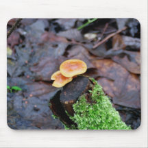 Photographie de nature tapis de souris