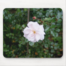 Photographie de nature tapis de souris