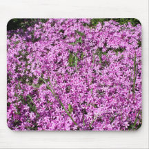 Photographie de nature tapis de souris