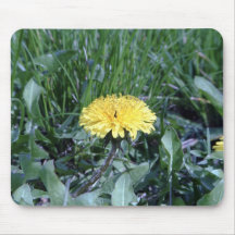 Photographie de nature tapis de souris
