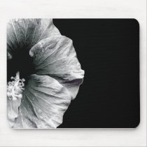 Photographie noire et blanche de fleur de ketmie