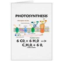Photosynthèse (anhydride carbonique + L'eau) Cartes De Vœux