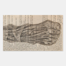 pied anatomique stickers rectangulaires