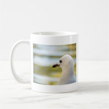 Pigeon Tasses À Café