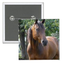 Pin de carré de cheval de pur sang de baie badges avec agrafe