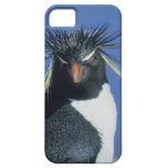 Pingouin de Rockhopper (chrysocome d'Eudyptes) Coques iPhone 5 Case-Mate