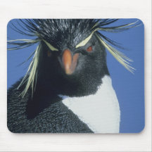 Pingouin de Rockhopper (chrysocome d'Eudyptes) Tapis De Souris