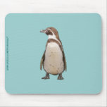 Pingouin Tapis De Souris
