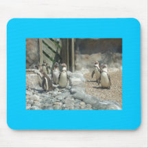 Pingouins (arrière - plan bleu) tapis de souris
