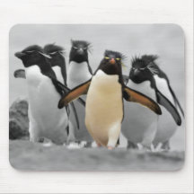 Pingouins de Rockhopper Tapis De Souris