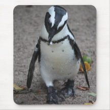 Pinguin Muis Matten