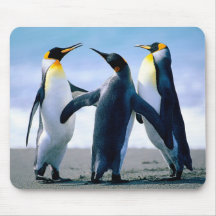 Pinguïnen Muismat