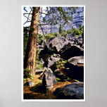 Pins et débris glaciaires, vallée de Yosemite Posters