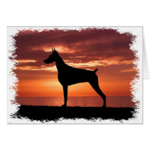 Pinscher de dobermann carte de vœux