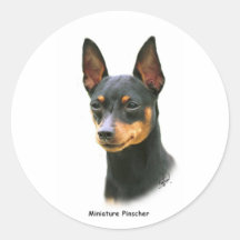 Pinscher miniature autocollant
