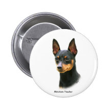 Pinscher miniature pin's