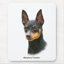 Pinscher miniature tapis de souris
