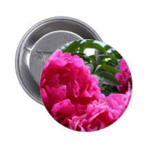 Pioenen Buttons