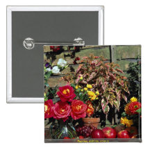 Pioenen, dahlia's, siernetel buttons