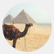 piramide kameel ronde sticker