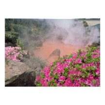 Piscine de vapeur dans Bephu, fleurs du Japon Invitations