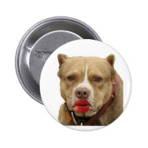 Pitbull die de Knoop van de Lippenstift dragen