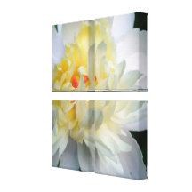 Pivoine Impressions Sur Toile
