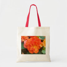 Pivoine orange sac