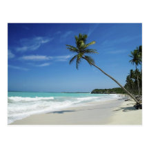 Plage de l'Île Caïman Carte Postale