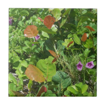 plage flowers.jpg carreaux en céramique