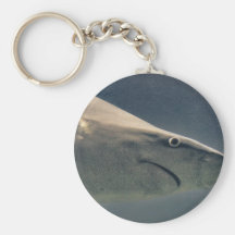 Plan rapproché de requin porte-clef