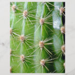 Plan rapproché d'épines de cactus tract customisé