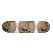 Planche à roulettes de Capybara