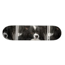 Planche à roulettes de chien de Papillon