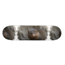 Planche à roulettes de mangouste