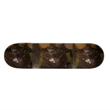 Planche à roulettes de tortue
